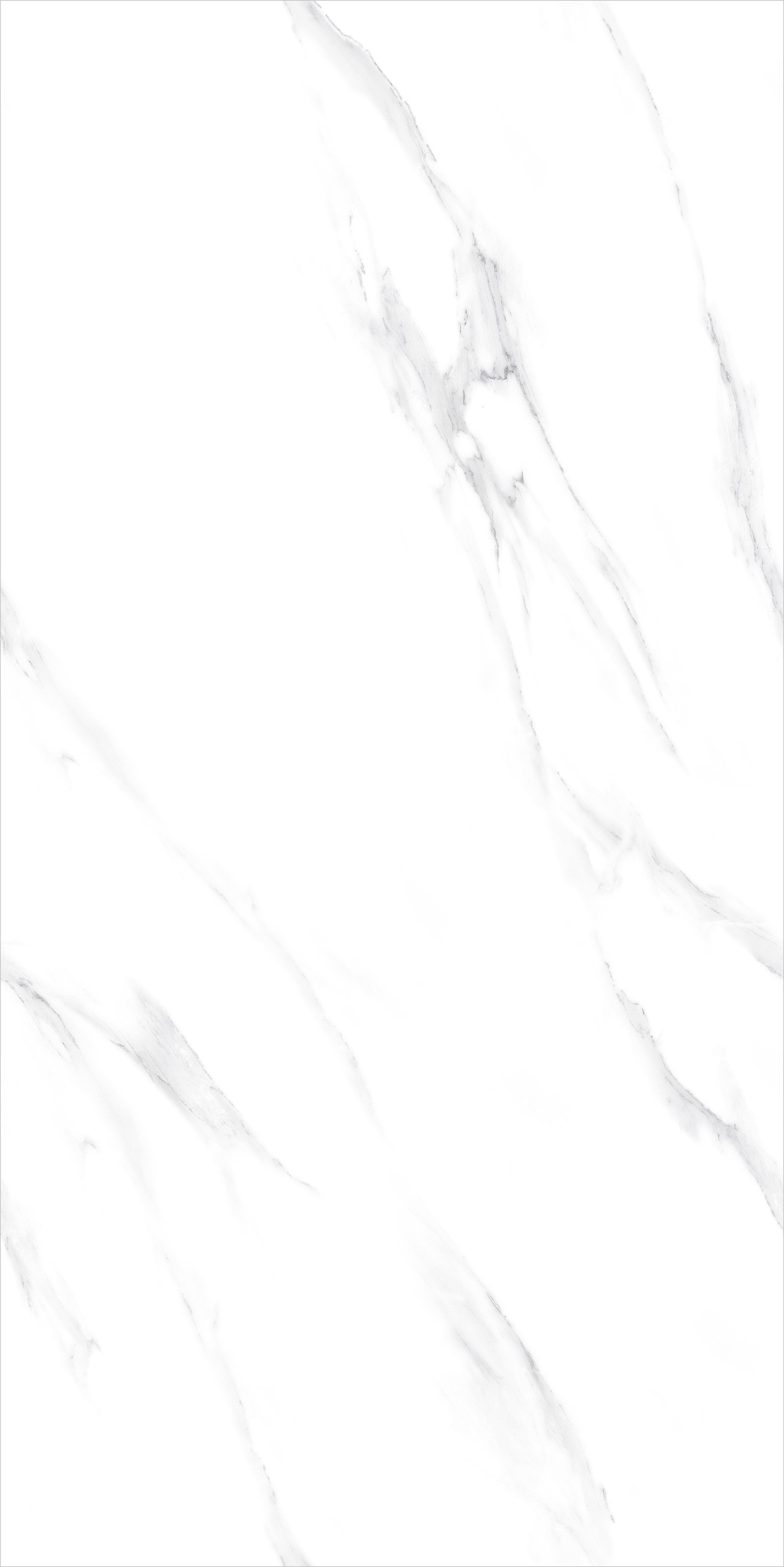 T18951 阿爾卑斯白